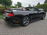 FORD MUSTANG V6 CABRIO