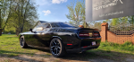 DODGE Challenger R/T 2021