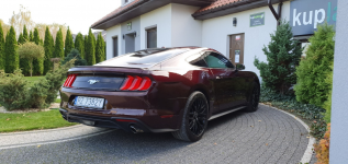 FORD Mustang Ecoboost Ruby Red