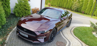 FORD Mustang Ecoboost Ruby Red
