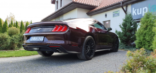 FORD Mustang Ecoboost Ruby Red
