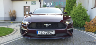 FORD Mustang Ecoboost Ruby Red