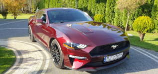 FORD Mustang Ecoboost Ruby Red