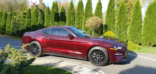 FORD Mustang Ecoboost Ruby Red