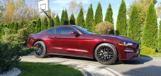 FORD Mustang Ecoboost Ruby Red