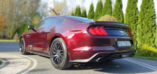 FORD Mustang Ecoboost Ruby Red