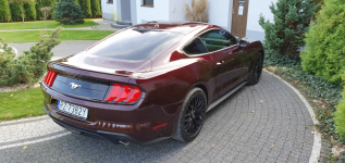 FORD Mustang Ecoboost Ruby Red