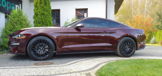 FORD Mustang Ecoboost Ruby Red
