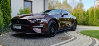 FORD Mustang Ecoboost Ruby Red