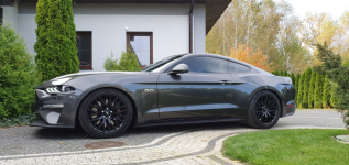 FORD MUSTANG GT 5.0 LIFT
