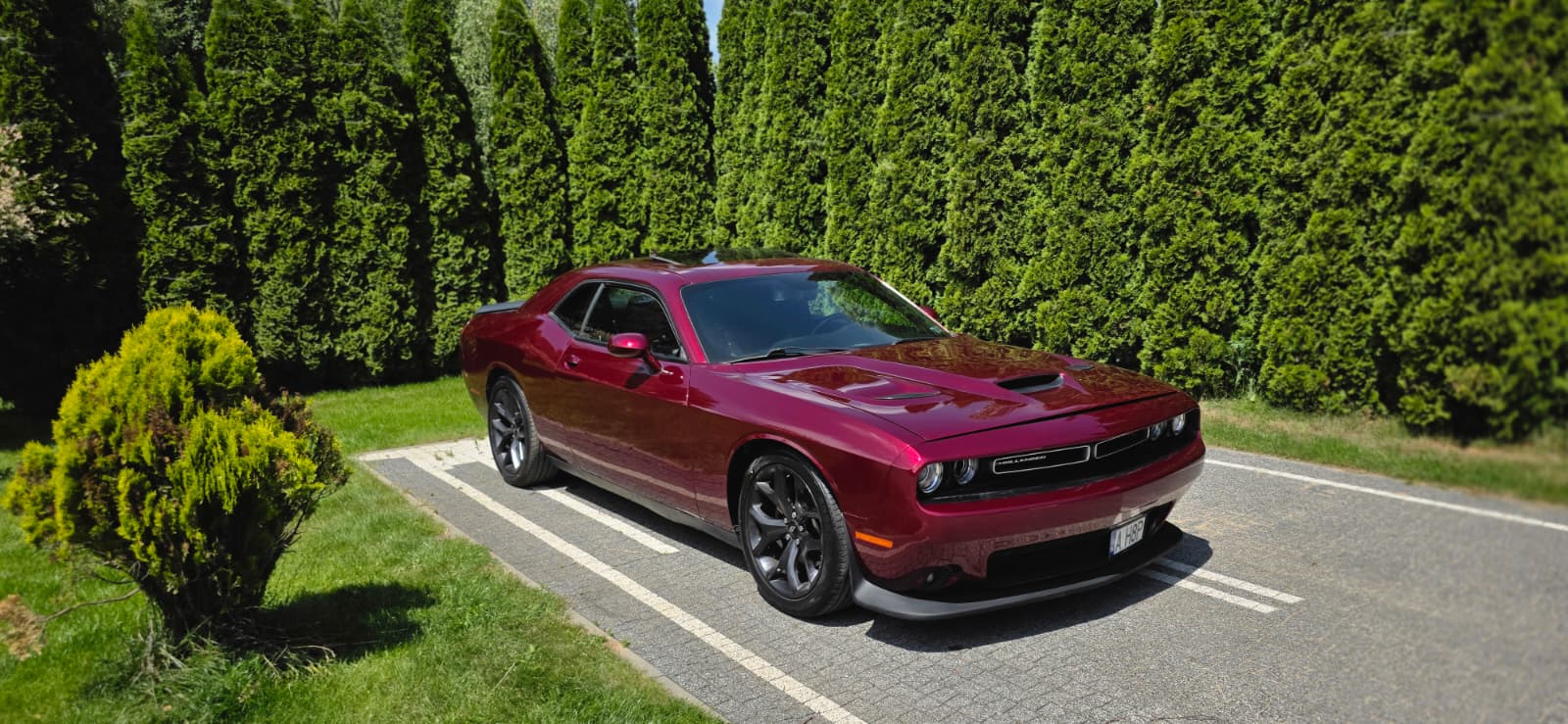 DODGE DODGE CHALLENGER R/T PLUS
