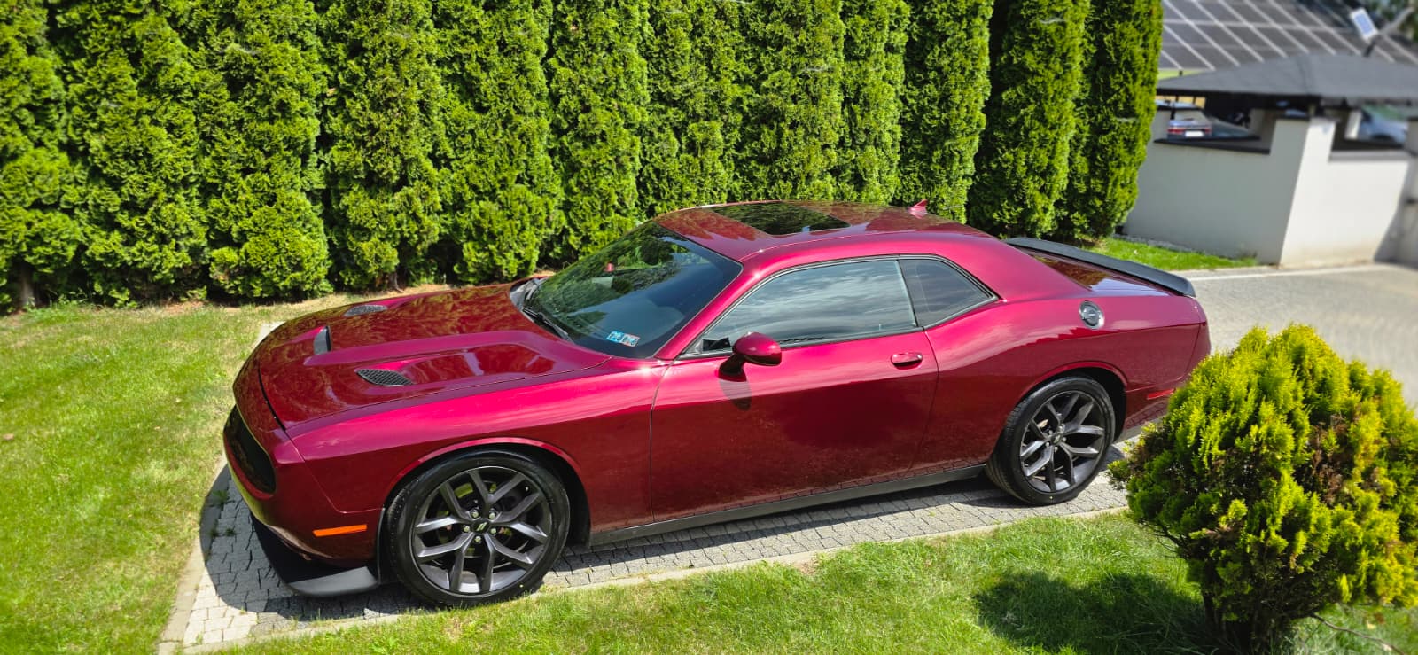DODGE DODGE CHALLENGER R/T PLUS