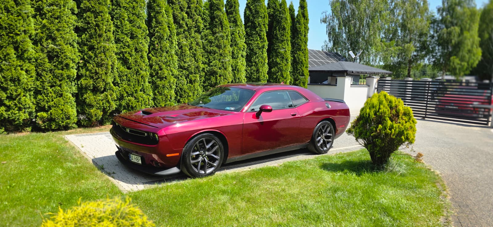 DODGE DODGE CHALLENGER R/T PLUS