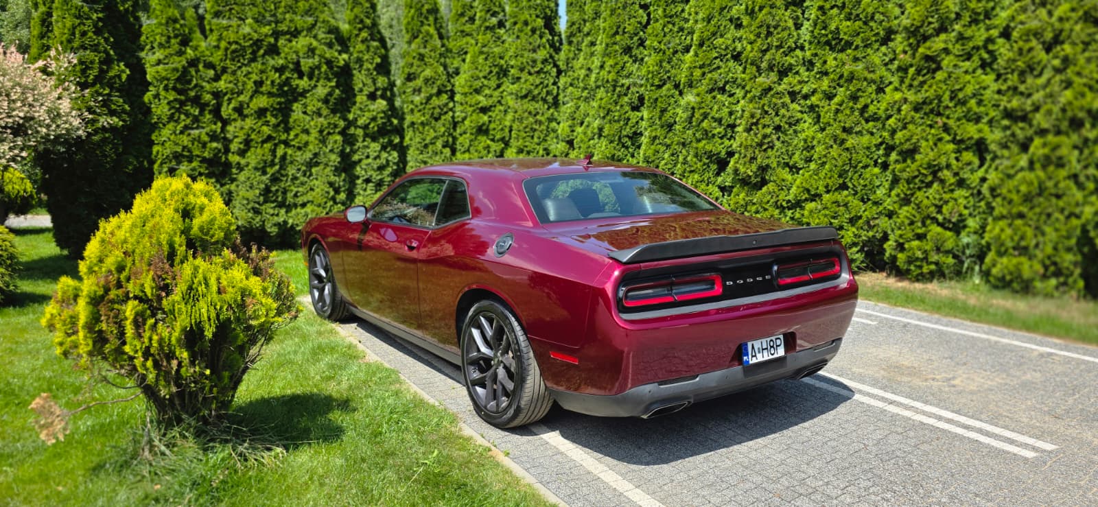 DODGE DODGE CHALLENGER R/T PLUS