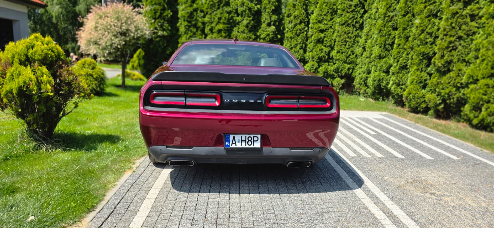 DODGE DODGE CHALLENGER R/T PLUS