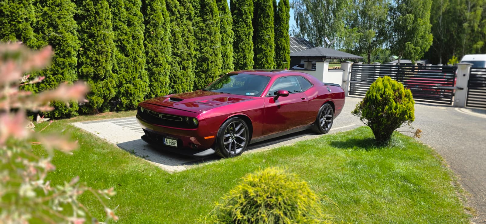 DODGE DODGE CHALLENGER R/T PLUS