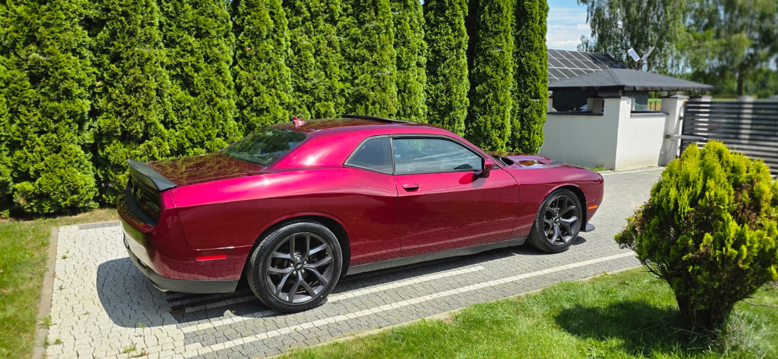 DODGE DODGE CHALLENGER R/T PLUS