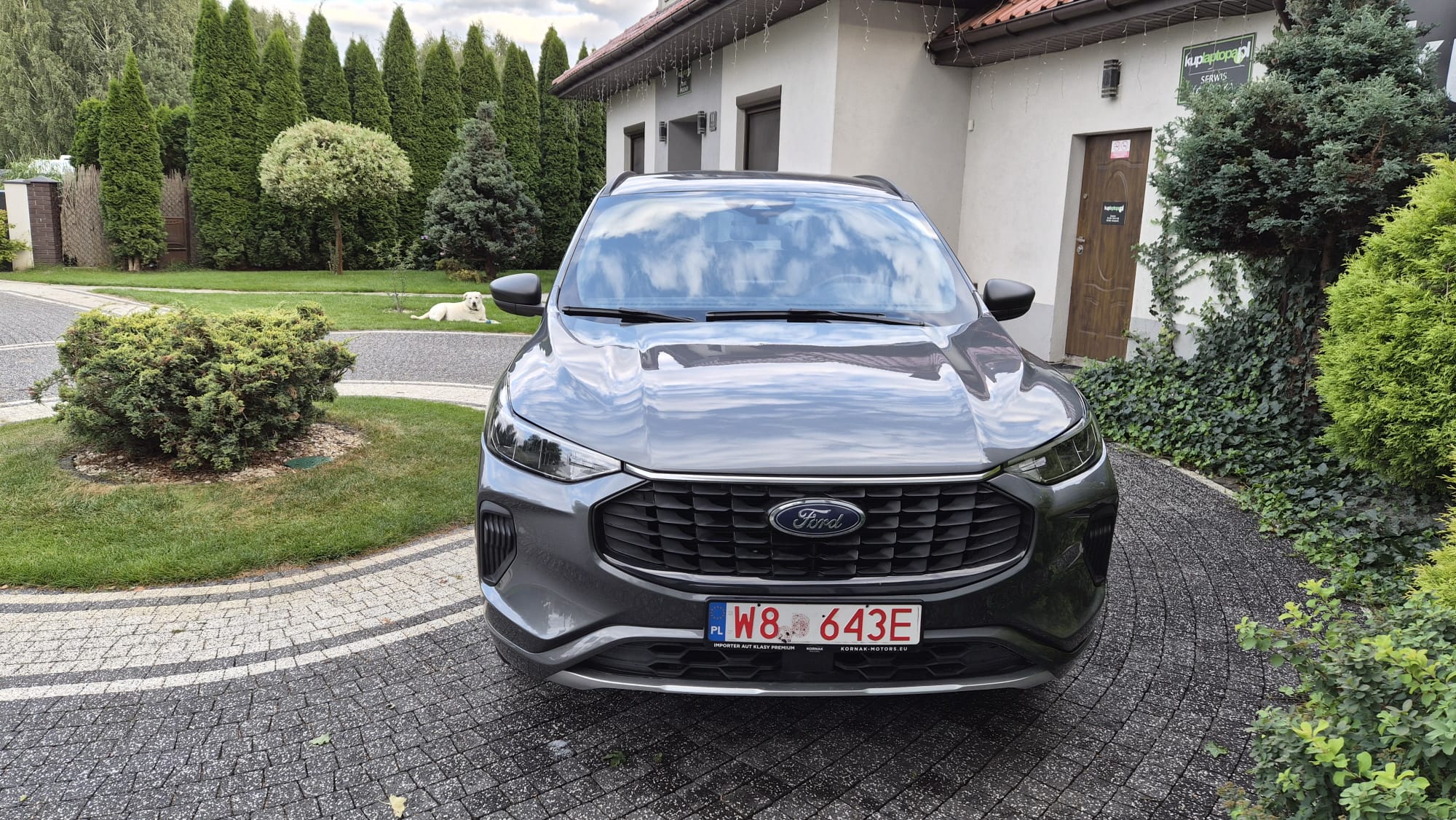 FORD Escape ST-LINE 4x4 2023