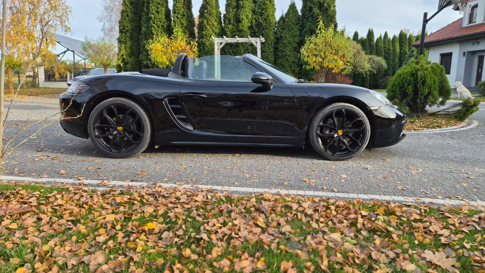 Porsche Boxster 718 Cabriolet