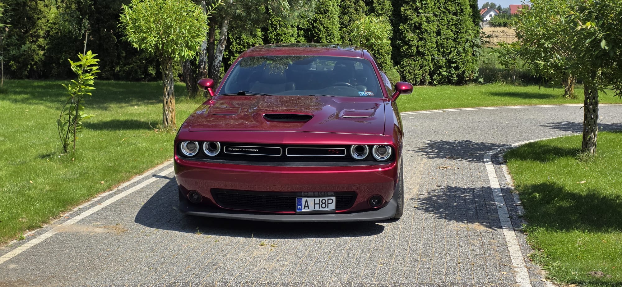 DODGE DODGE CHALLENGER R/T PLUS